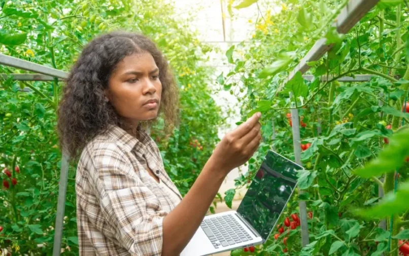 A woman in a plaid shirt inspects tomato plants in a greenhouse, holding a laptop. She appears focused, surrounded by lush green foliage and ripe tomatoes.